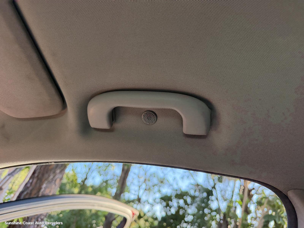 2017-2020 Holden Equinox Grab Handle