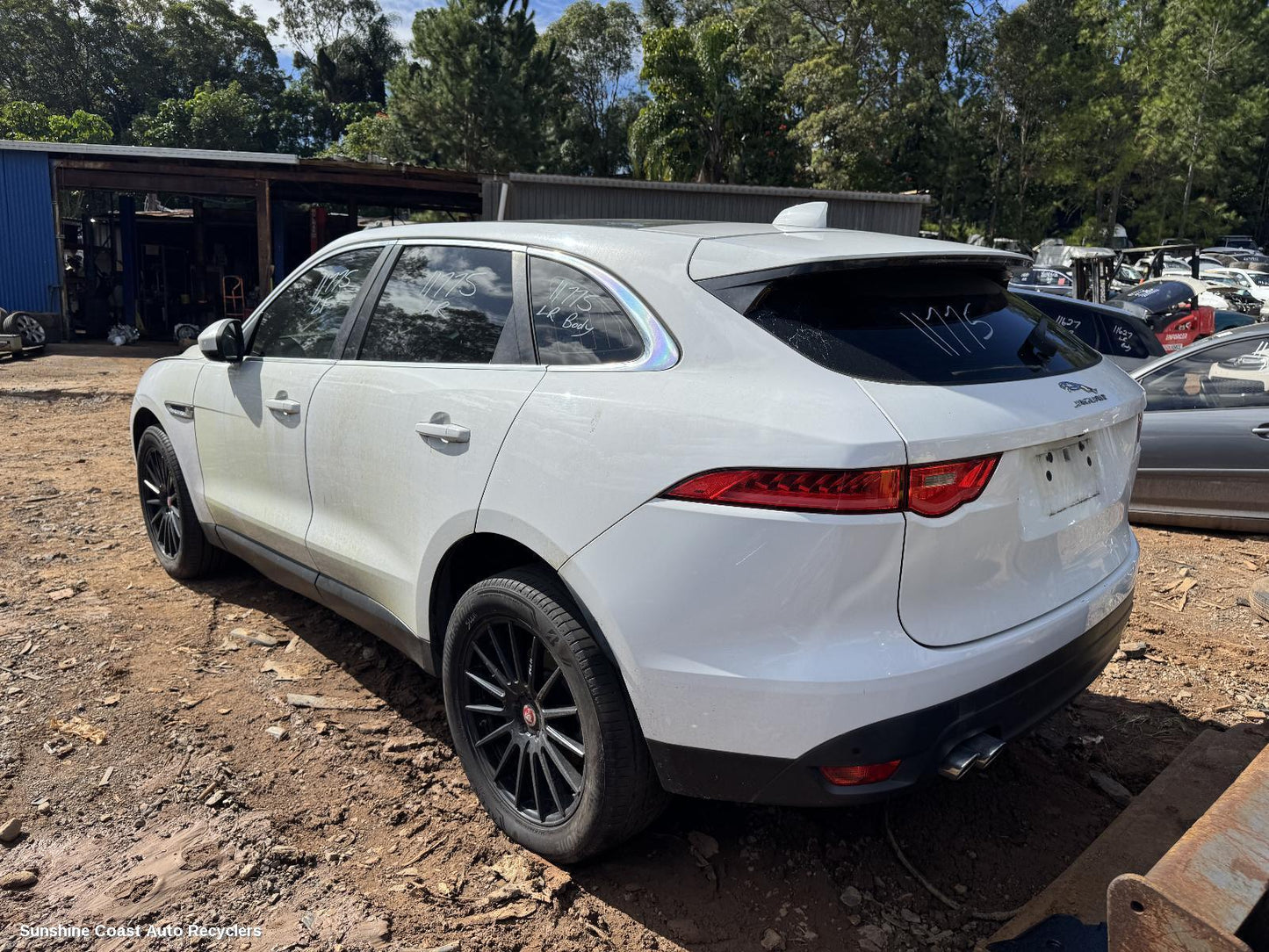 2016-2025 Jaguar F Pace Headrest
