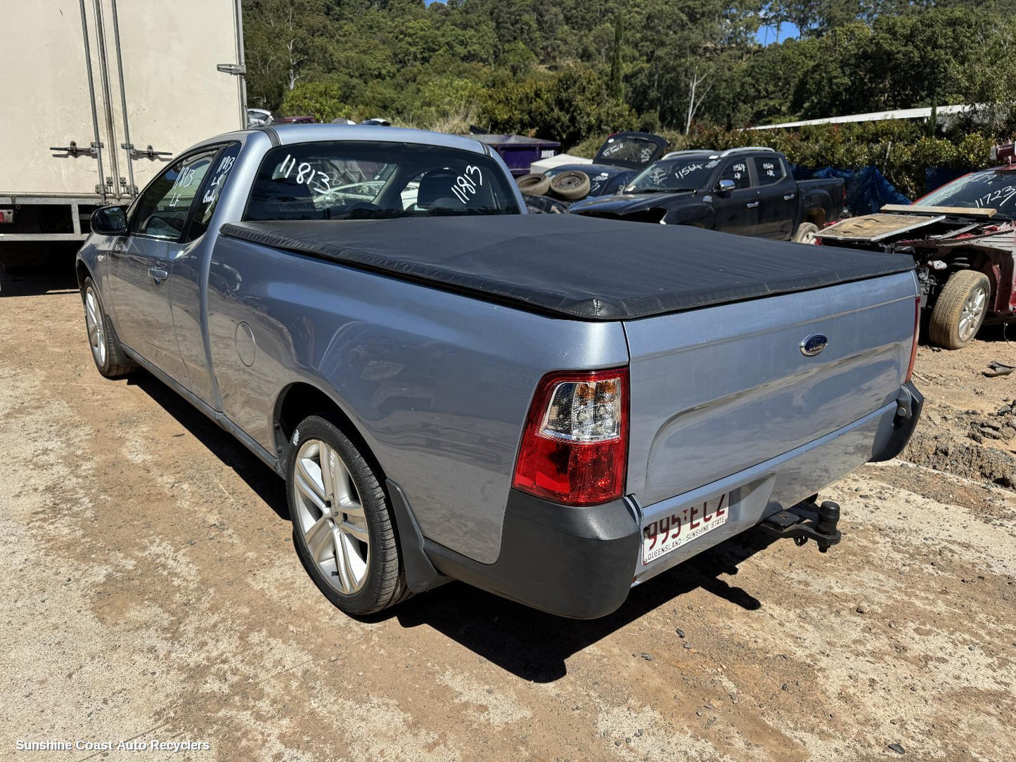 2008 Ford Falcon Grab Handle