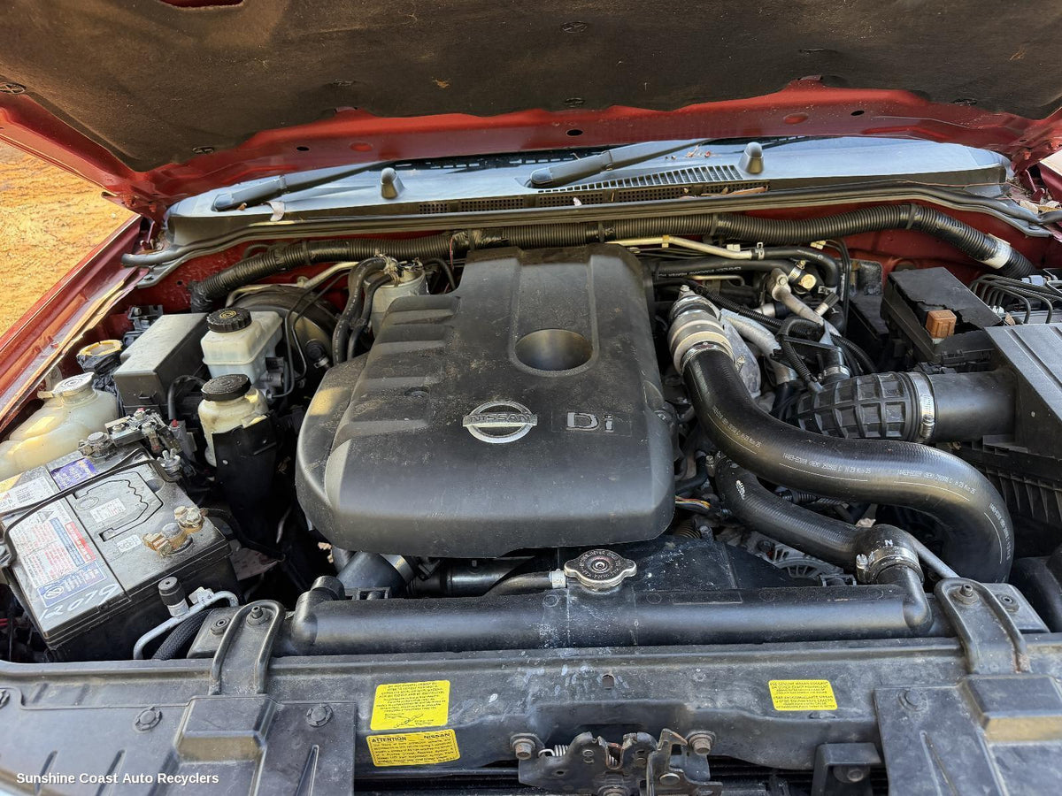 2006-2010 Nissan Navara Engine