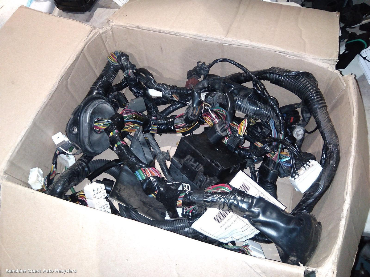 2000-2002 Mitsubishi Pajero Wire Harness