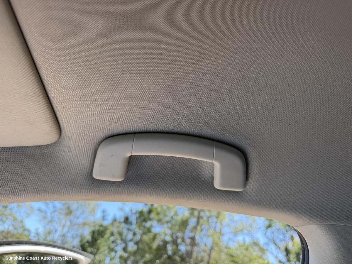 2012-2020 Volkswagen Golf Grab Handle