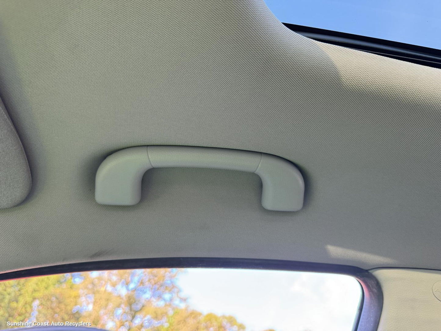 2011-2018 Holden Captiva Grab Handle