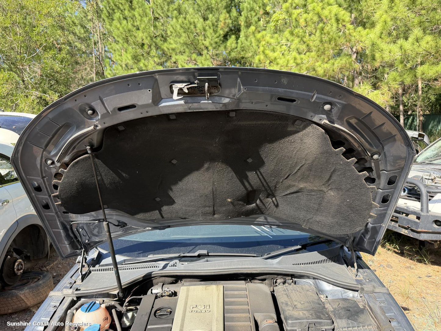 2008 Volkswagen Eos Bonnet