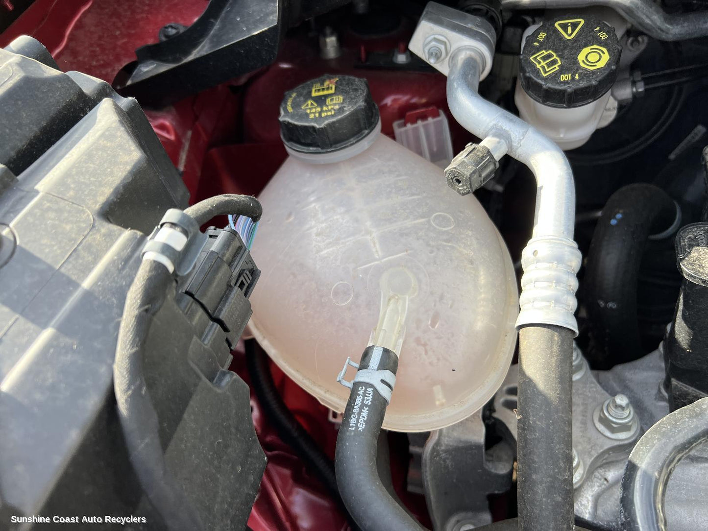 2020 Ford Puma Overflow Bottle