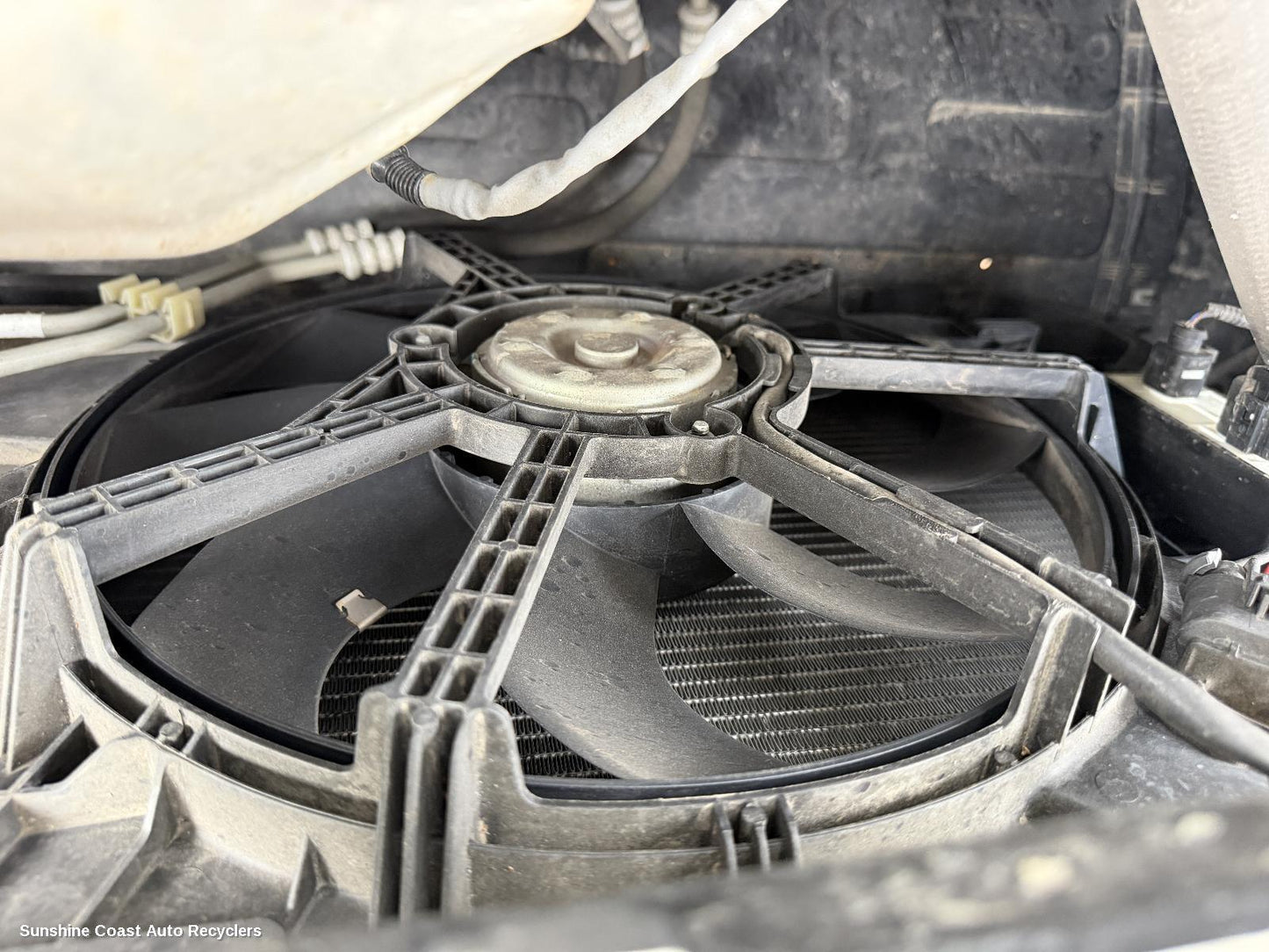 2017-2025 Mg Zs Fan