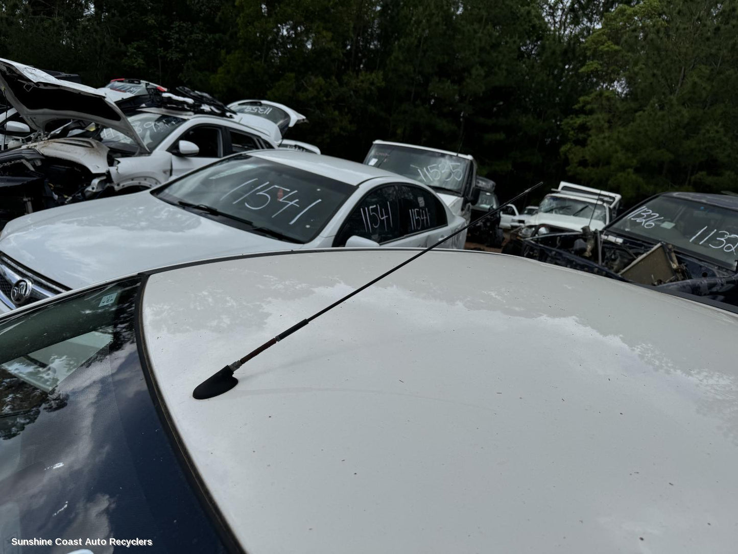 2007 Ford Focus Antenna