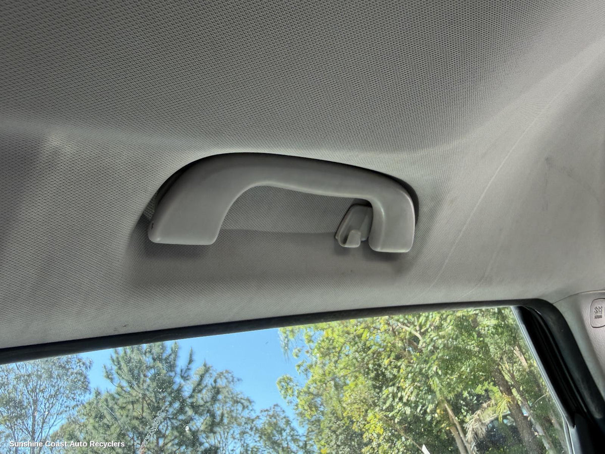 2007-2015 Mazda Cx9 Grab Handle