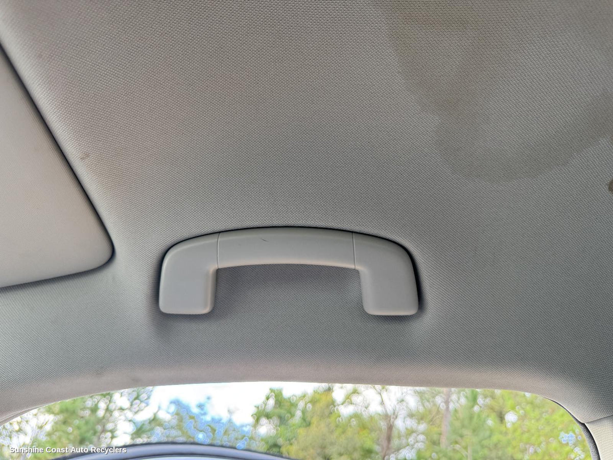 2016-2024 Volkswagen Tiguan Grab Handle