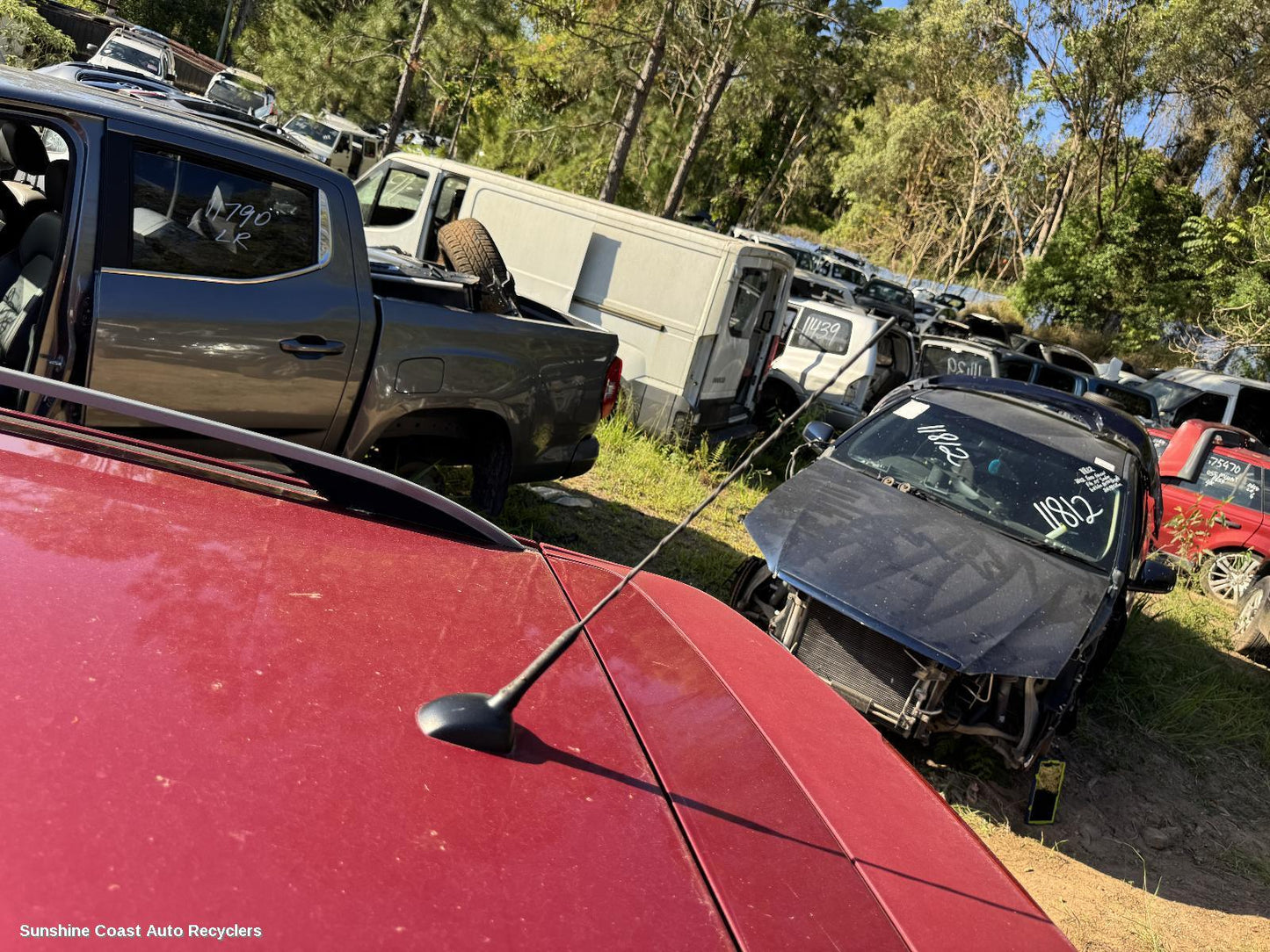 2014 Holden Cruze Antenna