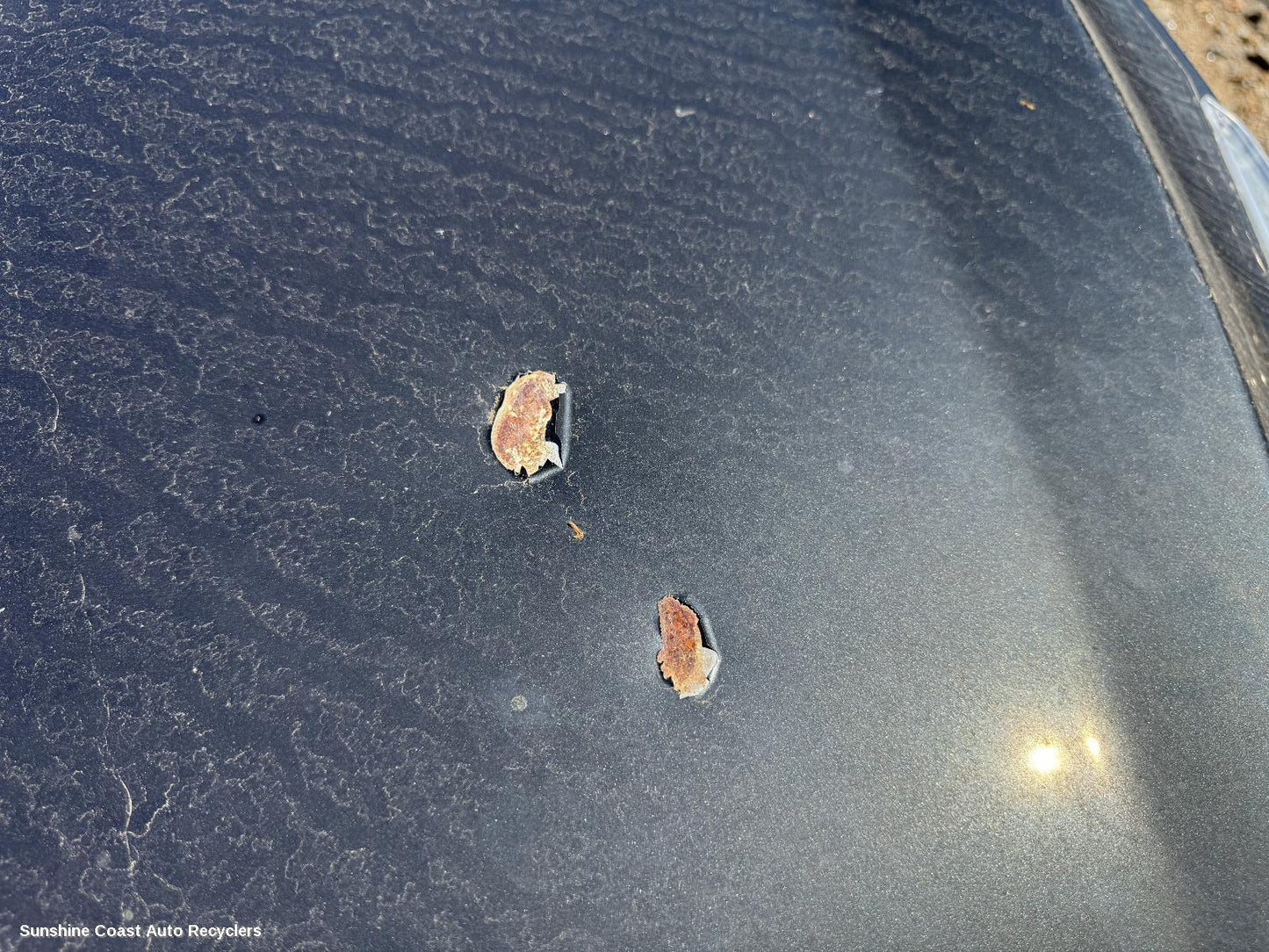 2010 Holden Cruze Bonnet