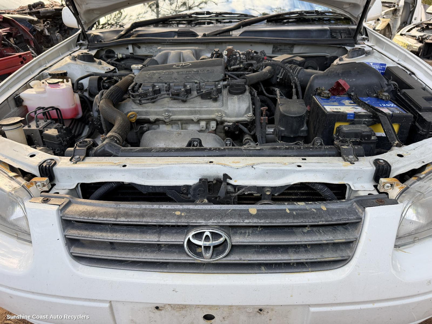 1997-2000 Toyota Camry Grille