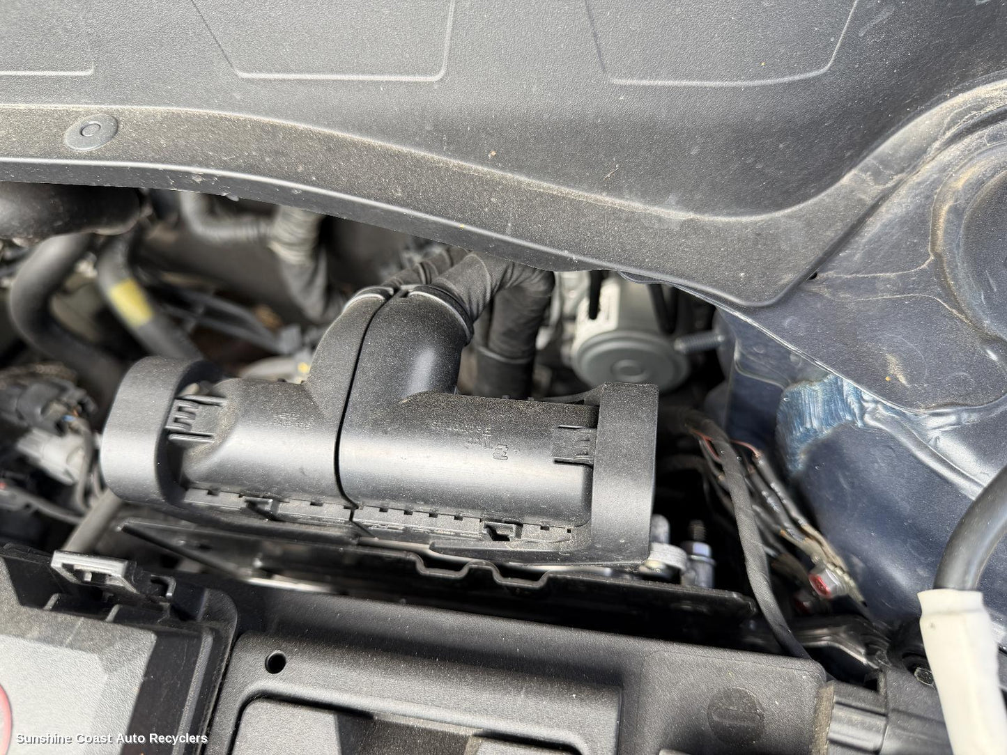 2019 Hyundai Venue Ecu