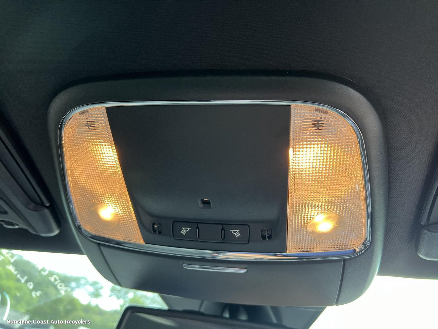 2012 Chrysler 300c Courtesy Light