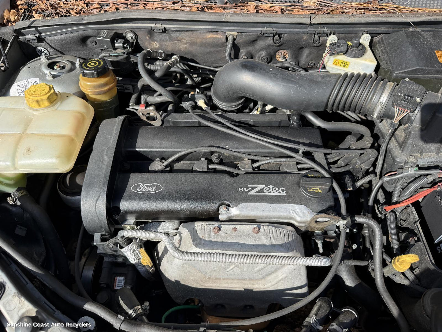 2001-2005 Ford Focus Engine