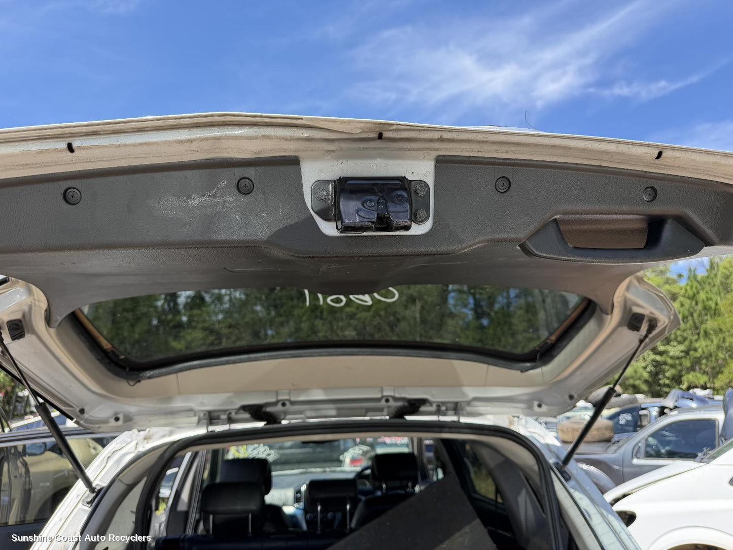 2017 Holden Captiva Hatch Strut
