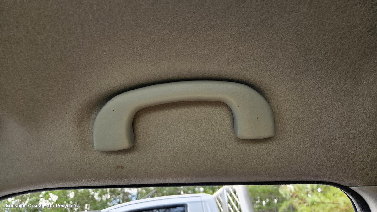 2011-2017 Suzuki Swift Grab Handle