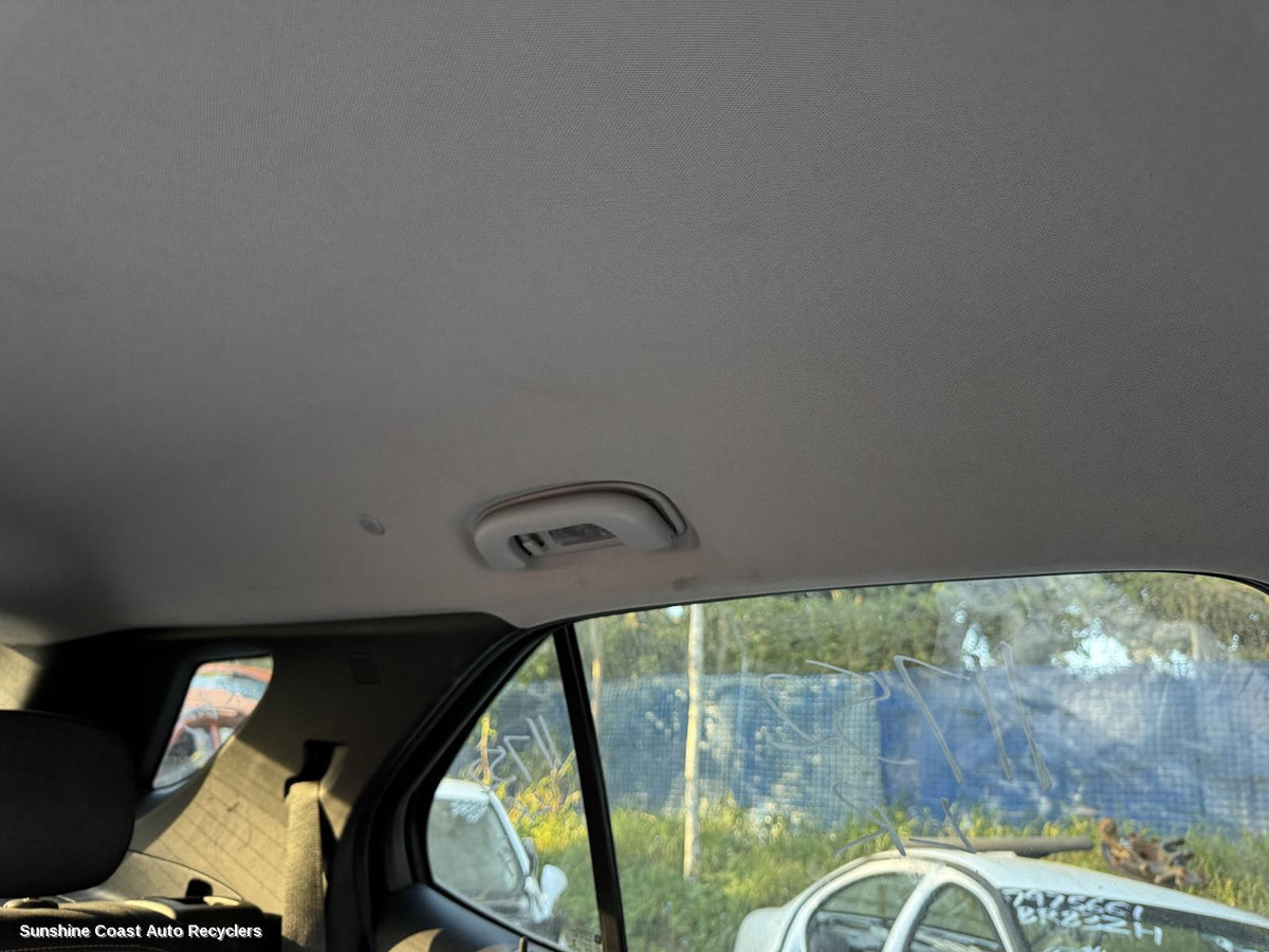 2017-2020 Holden Equinox Grab Handle