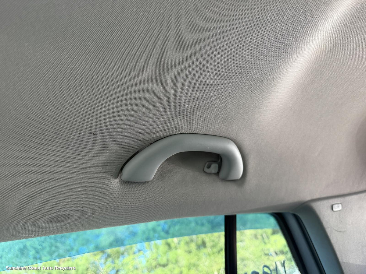 2004-2009 Volkswagen Golf Grab Handle
