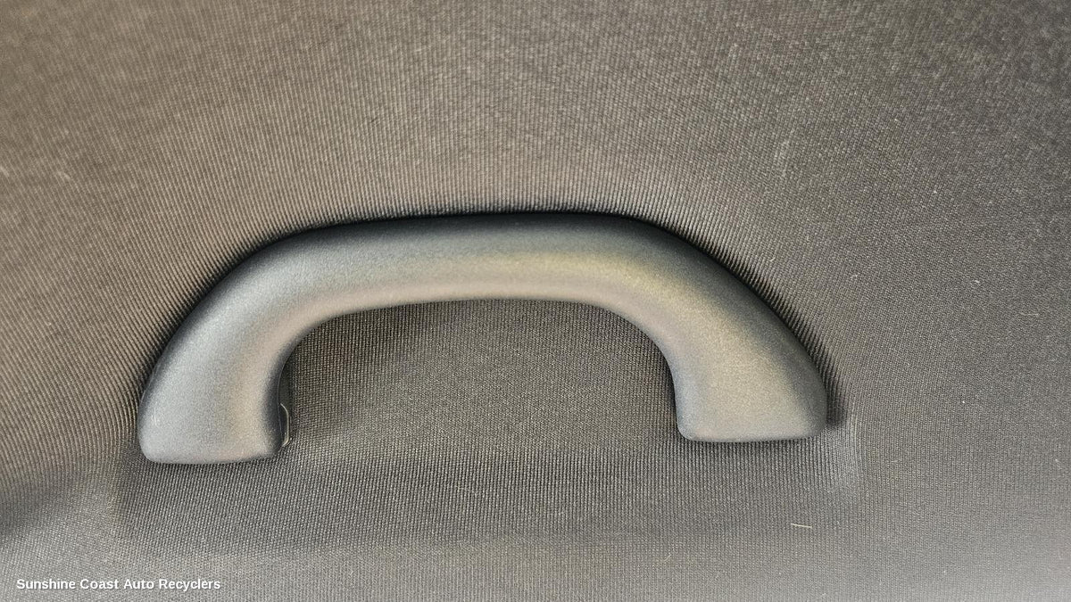2010-2015 Skoda Fabia Grab Handle