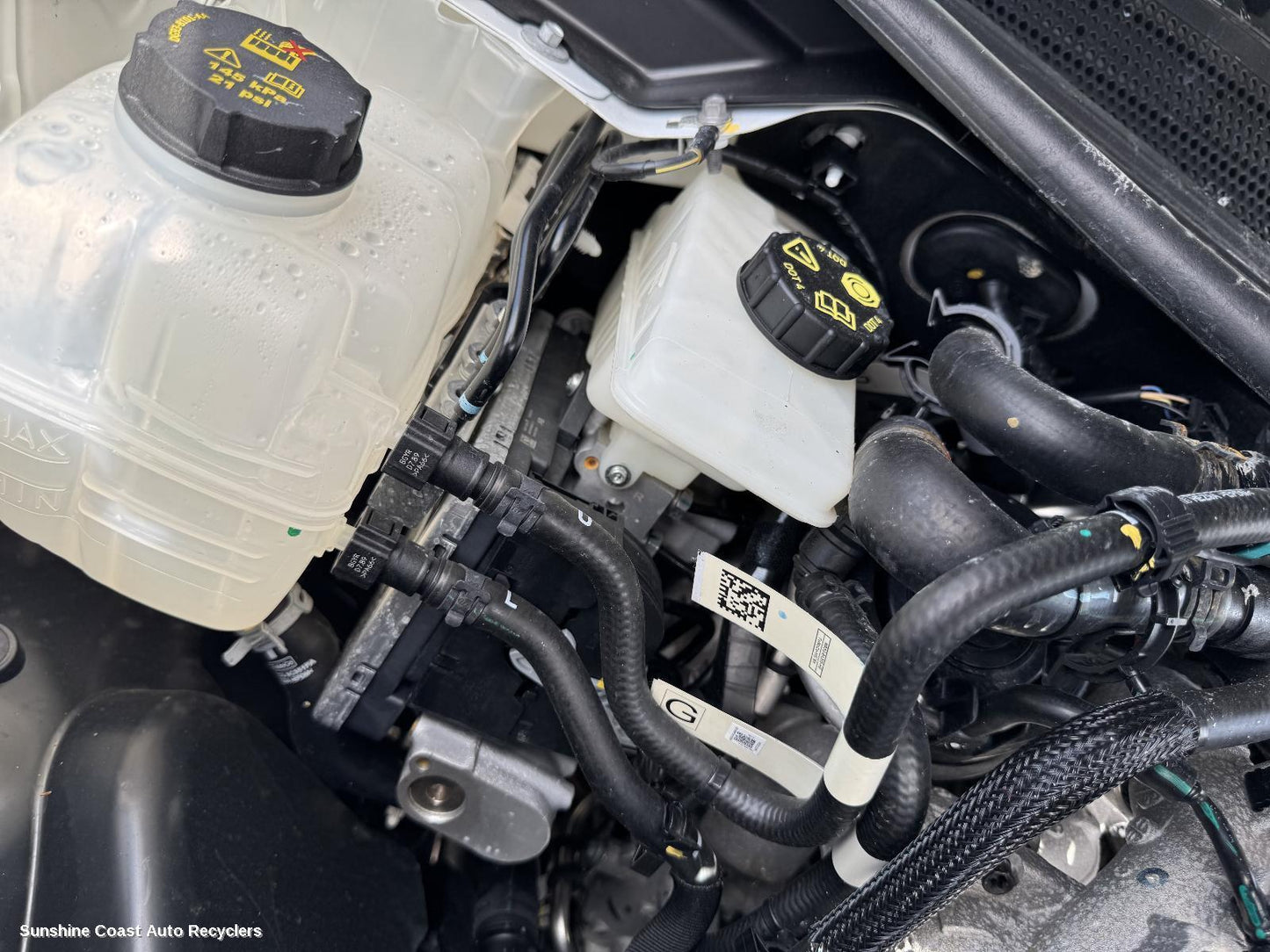 2024 Ford Everest Overflow Bottle
