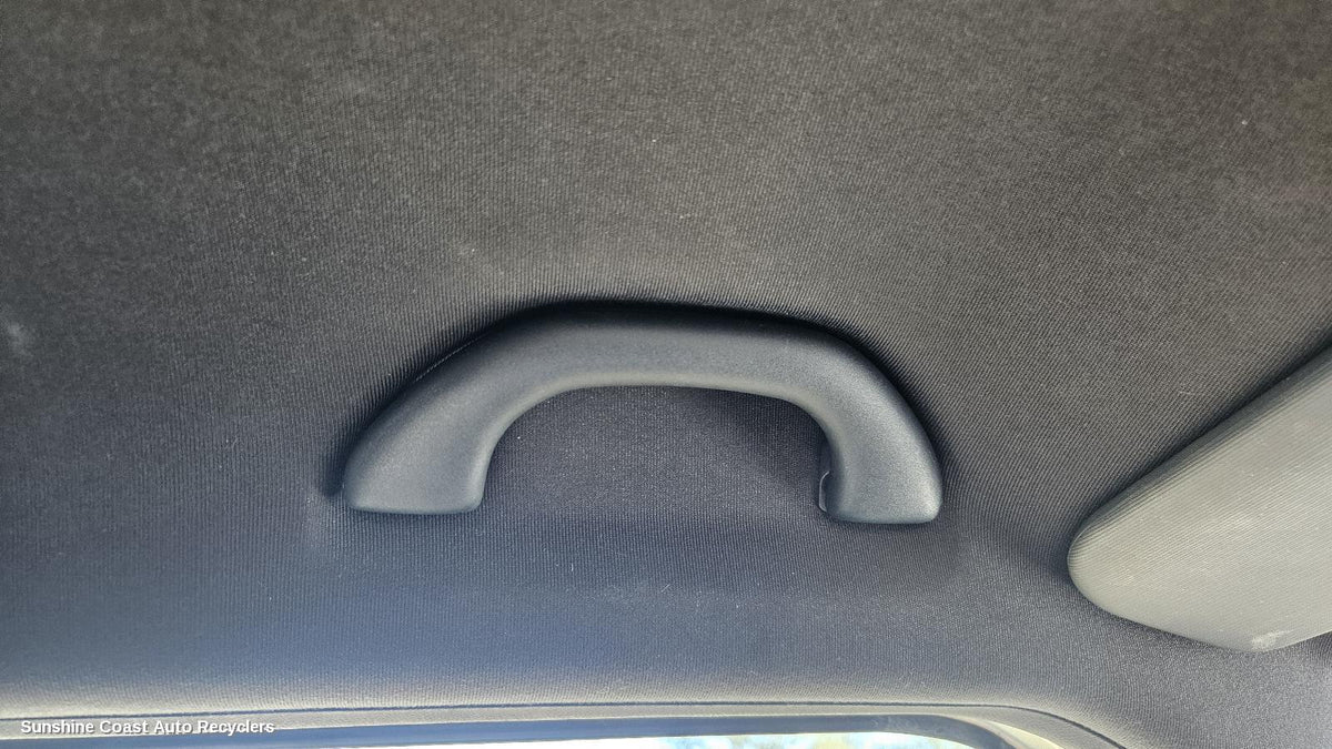 2010-2015 Skoda Fabia Grab Handle