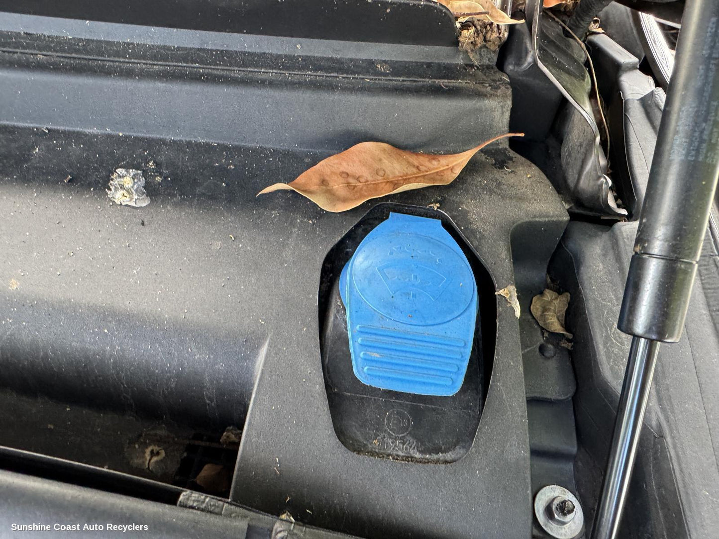 2011 Audi Q5 Washer Bottle