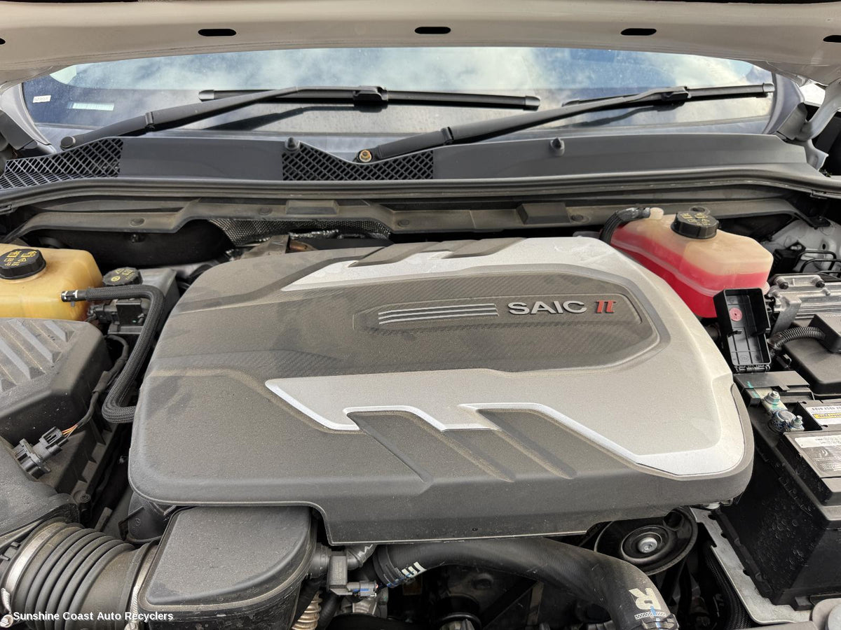 2020-2024 Ldv D90 Engine