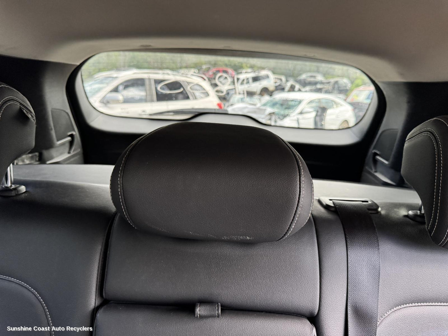 2016-2026 Renault Kaleos Headrest