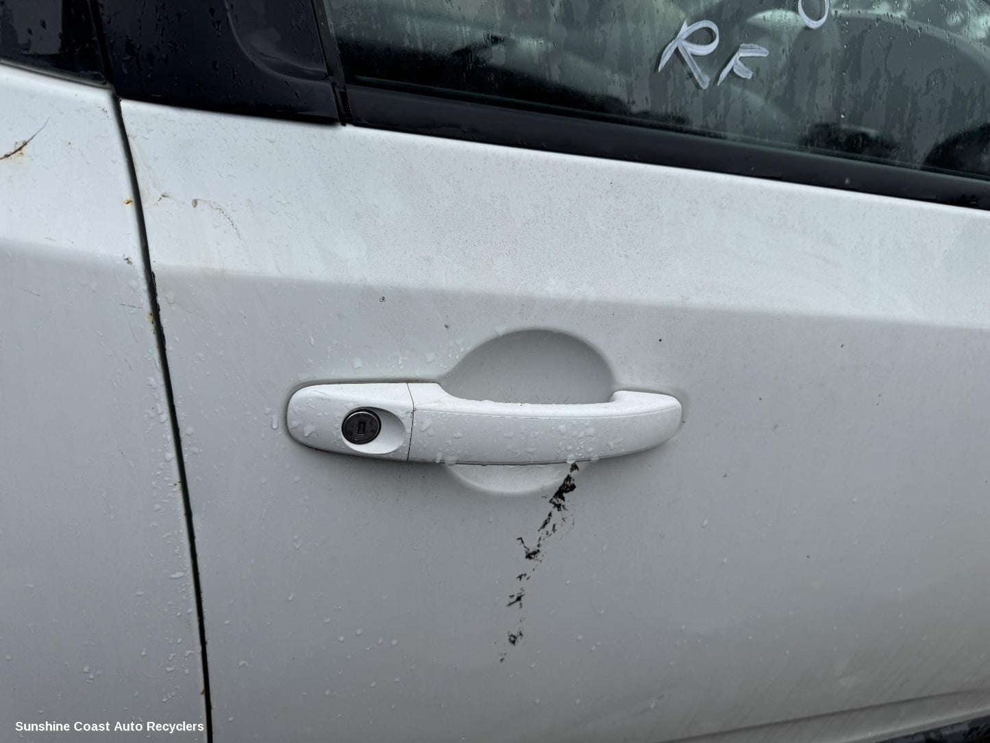 2010 Ford Falcon Door Handle