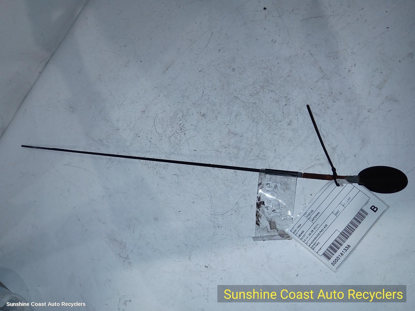 2007 Ford Focus Antenna