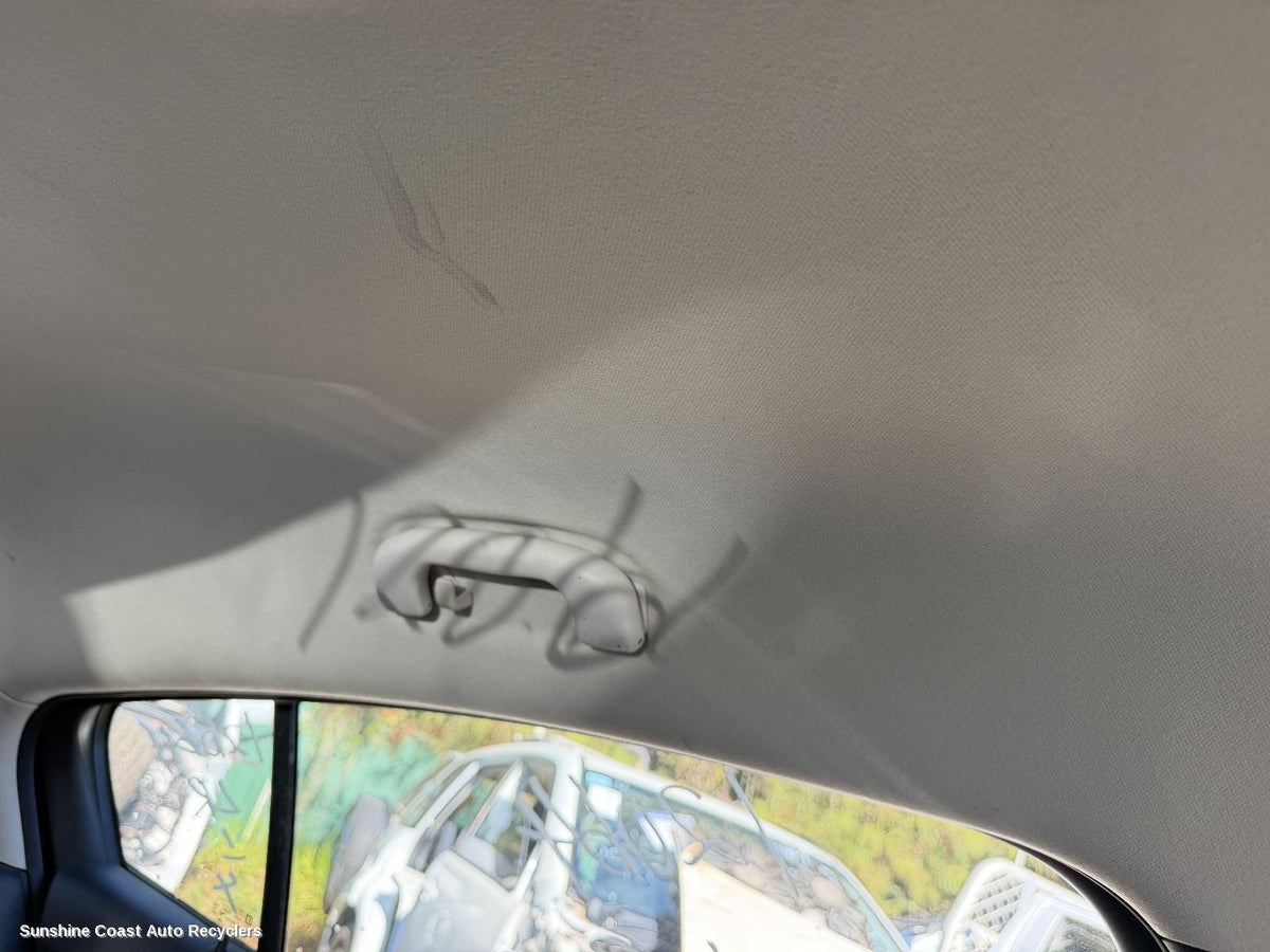2017-2020 Holden Astra Grab Handle
