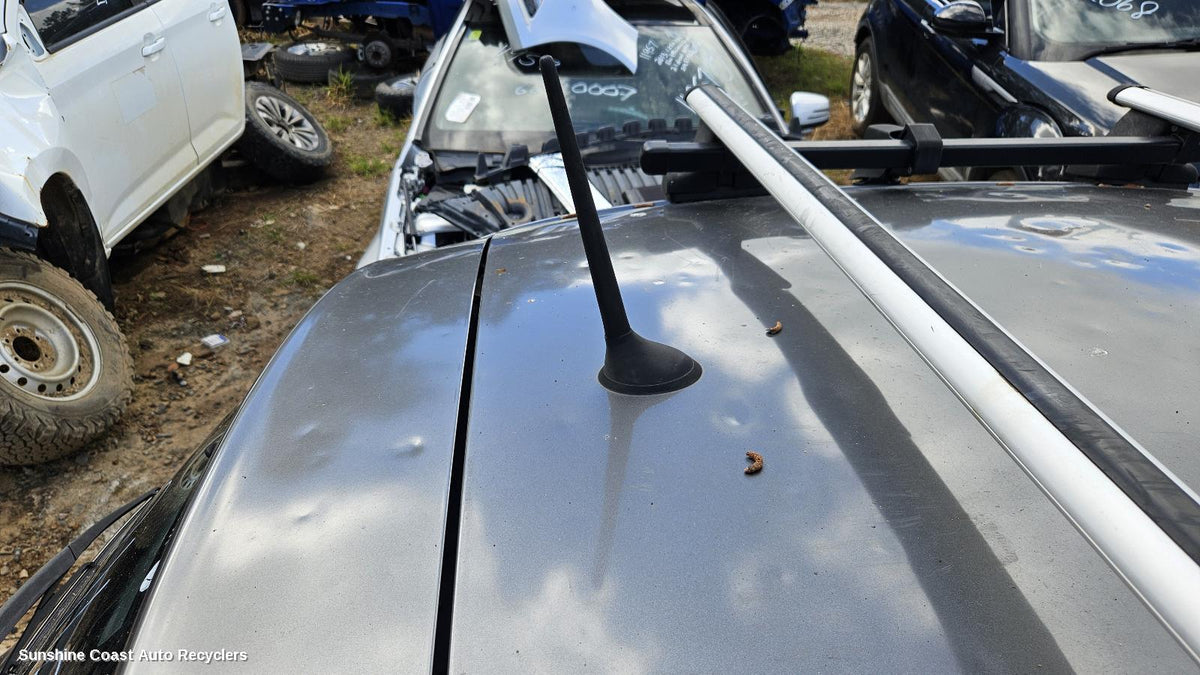 2012-2017 Fiat 500 Antenna