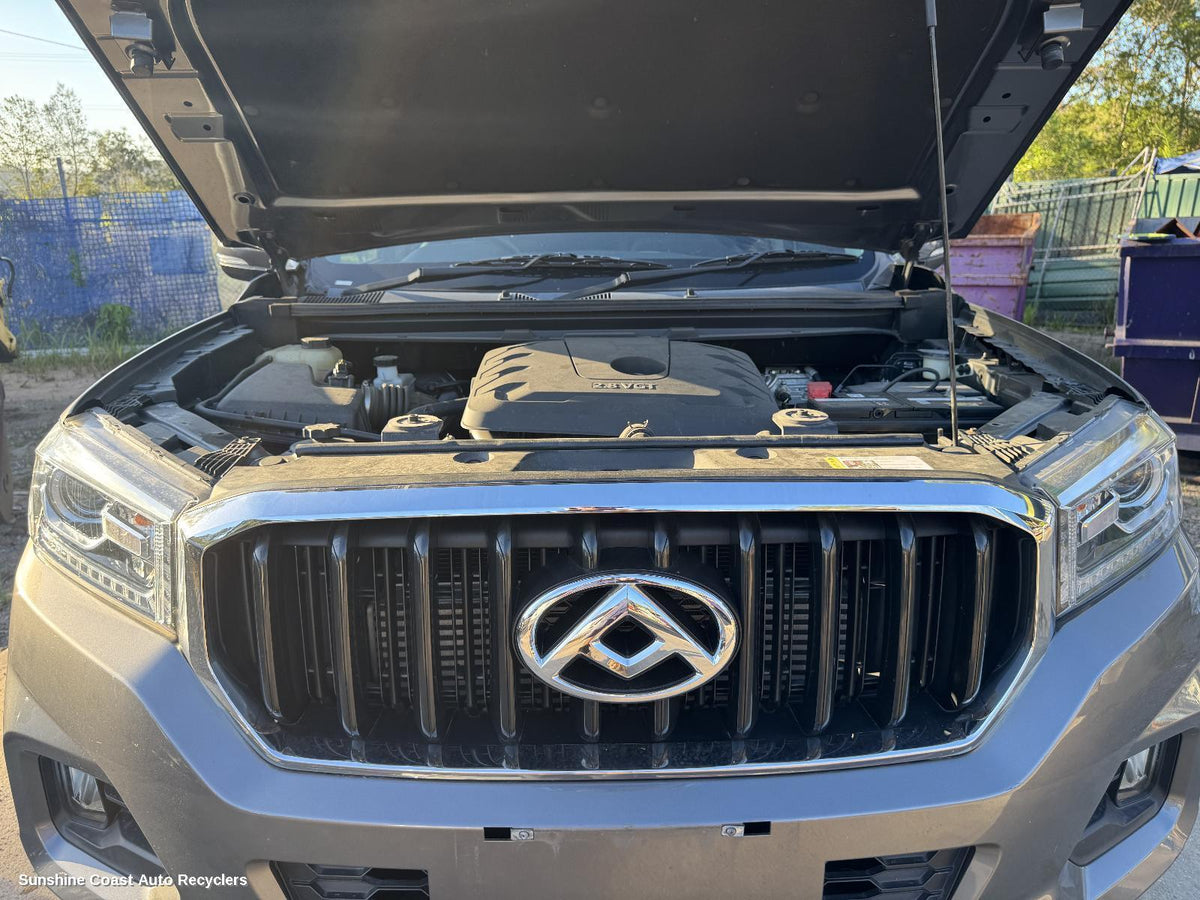 2017-2021 Ldv T60 Grille