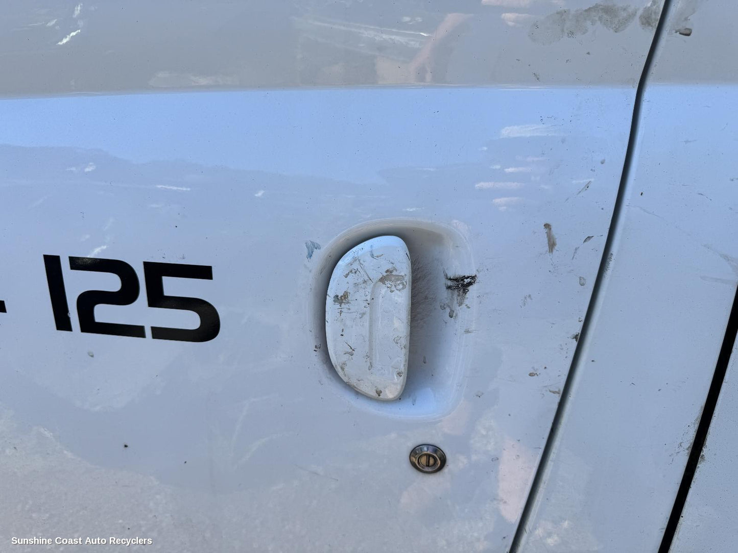 2020 Ldv V80 Door Handle