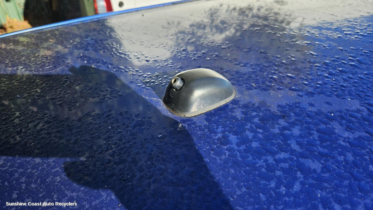2010-2017 Suzuki Swift Antenna