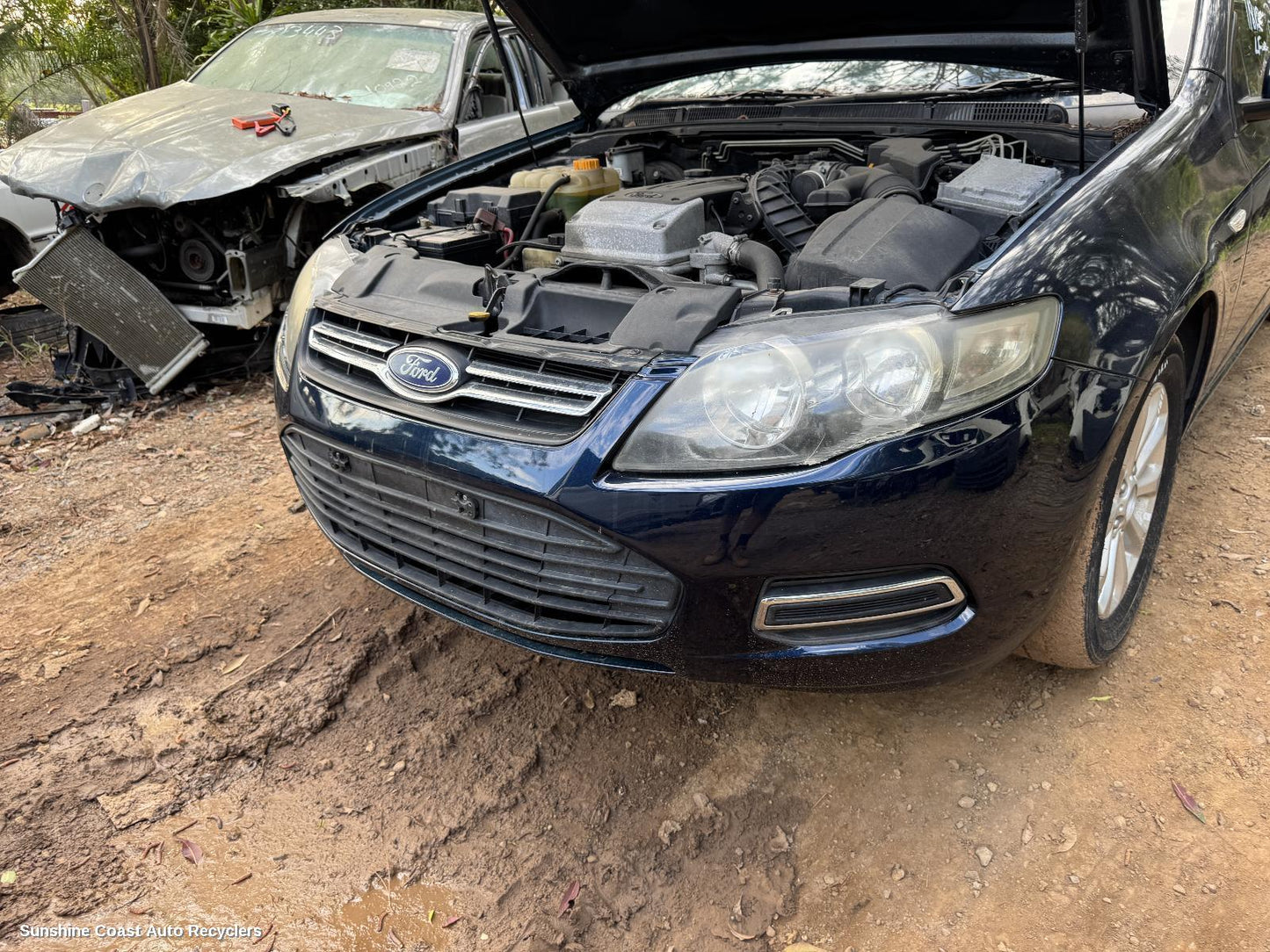 2012 Ford Falcon Grille