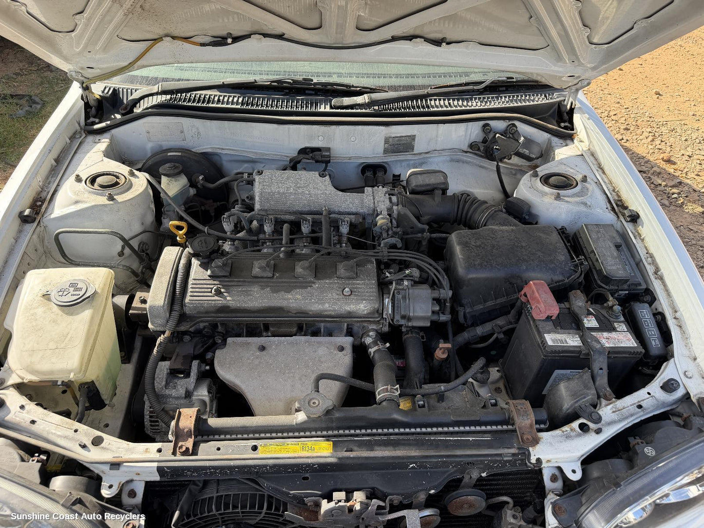 1998-2001 Toyota Corolla Sump Guard