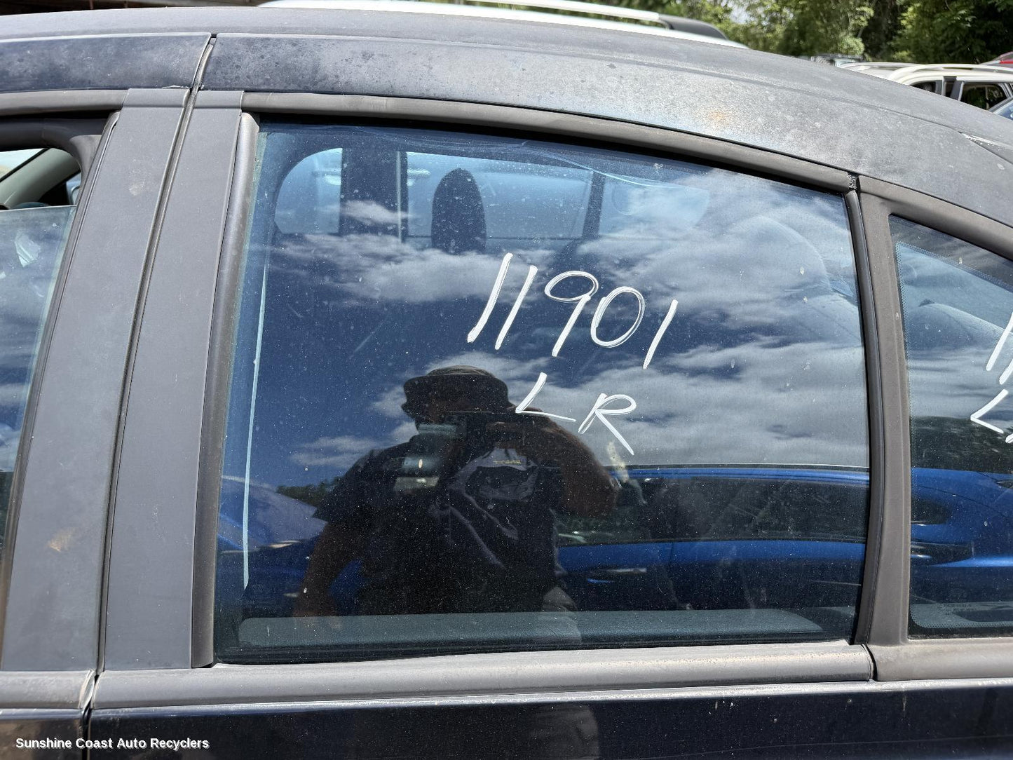 2006 Ford Falcon Left Rear Door Window