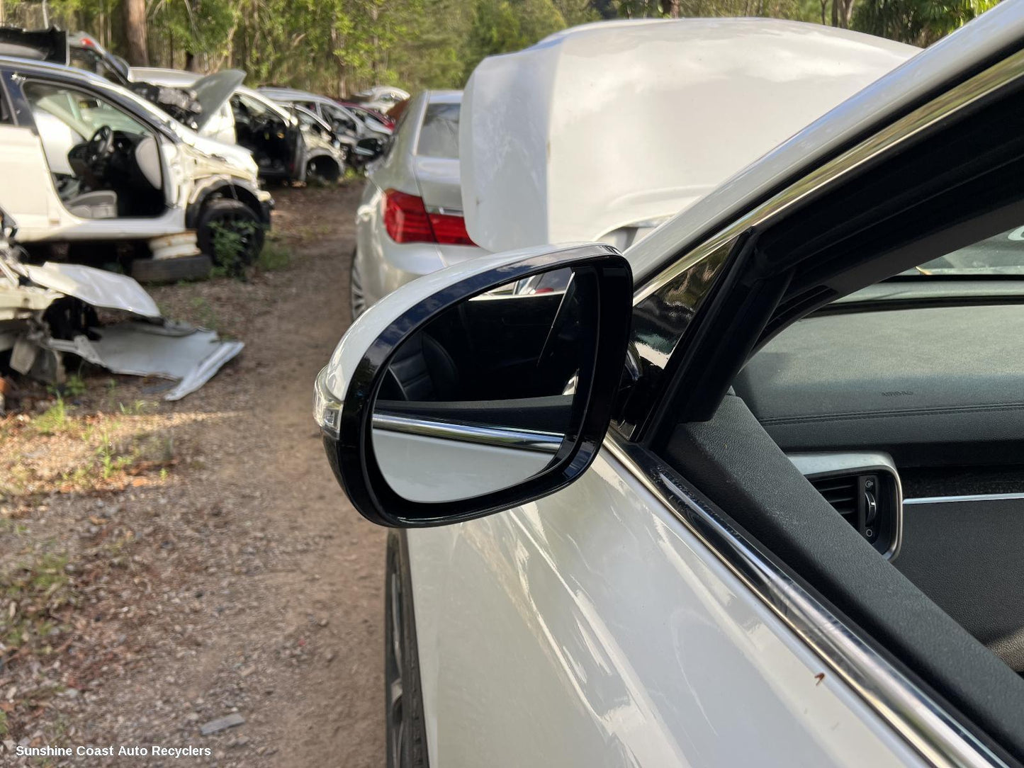 2019 Kia Sorento Left Door Mirror