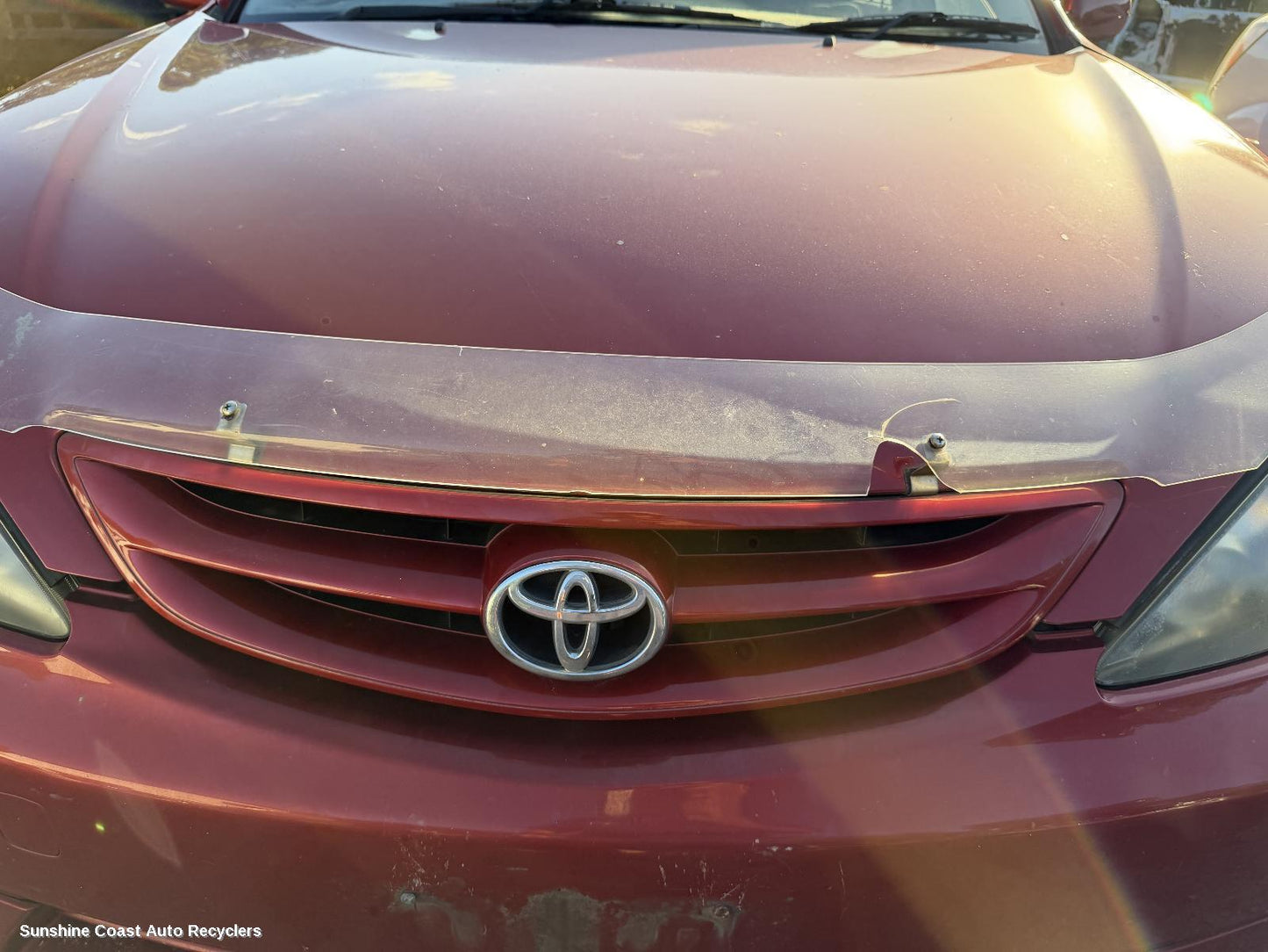 2004-2006 Toyota Camry Grille
