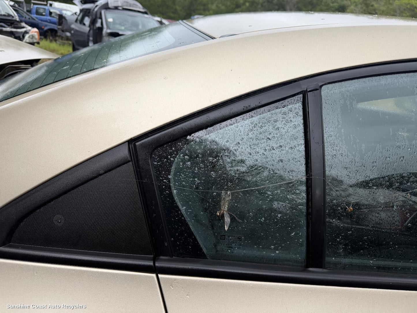 2009-2017 Holden Cruze Right Rear 1 4 Door Glass