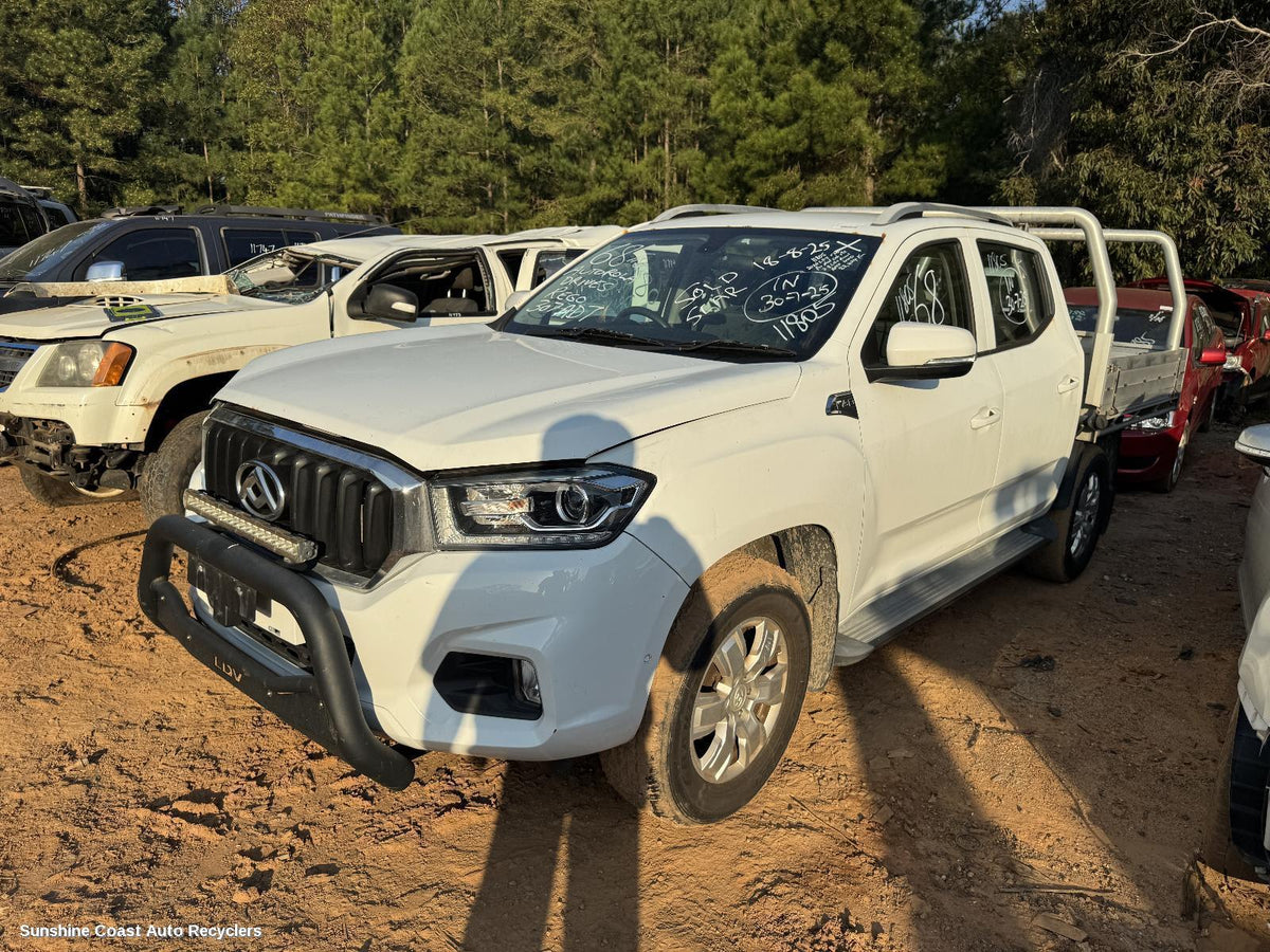 2017-2026 Ldv T60 Mud Flaps