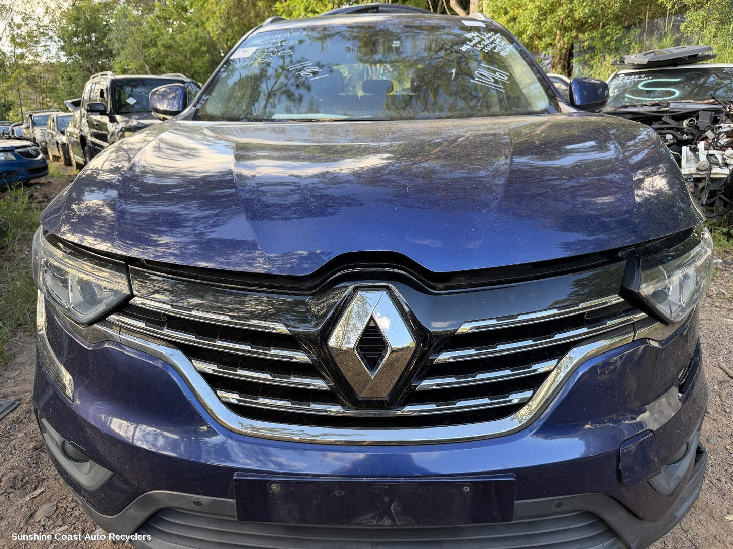 2016-2019 Renault Kaleos Grille