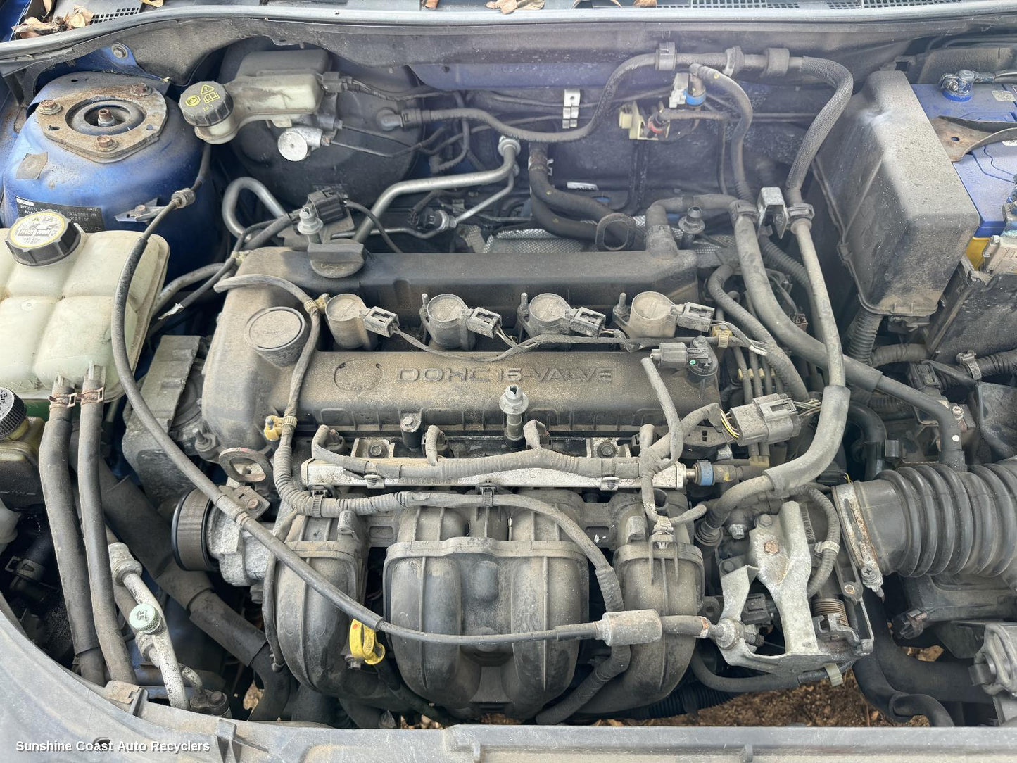 2005 Mazda 3 Engine