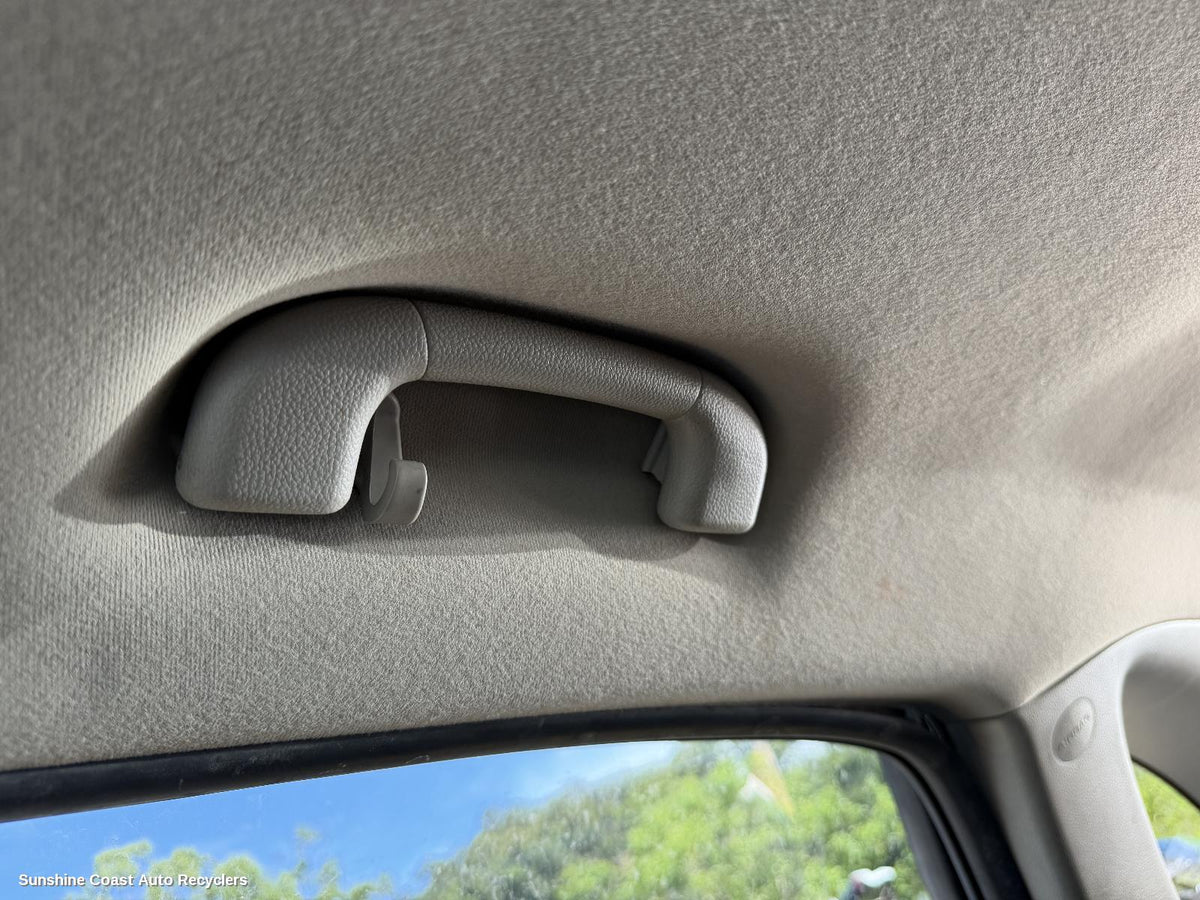 2011-2018 Holden Captiva Grab Handle