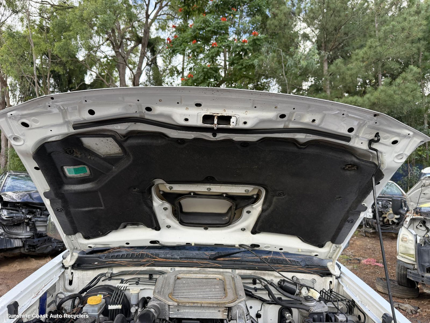 2008-2015 Nissan Navara Bonnet