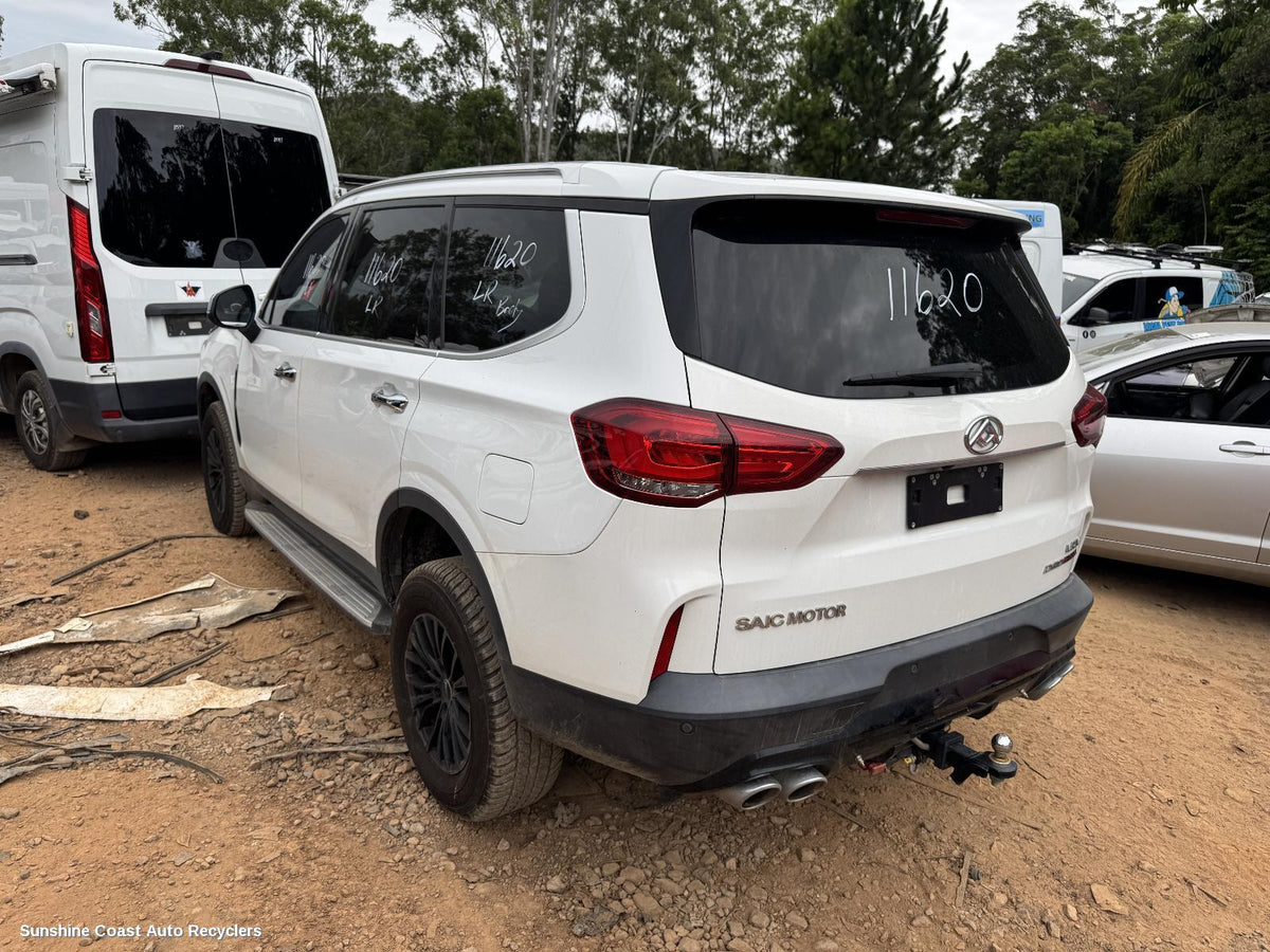 2020-2024 Ldv D90 Engine