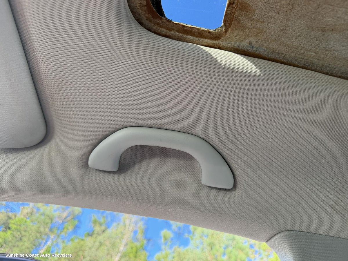 2004-2009 Volkswagen Golf Grab Handle