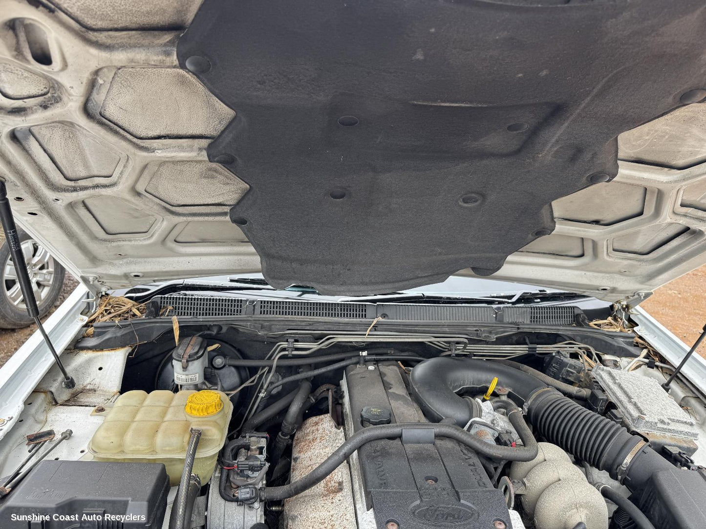 2010 Ford Falcon Bonnet Hinge Strut